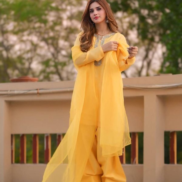 Exquisite Embroidered Georgette Salwar Kameez Sets - Perfect for Festive & Casual Wear